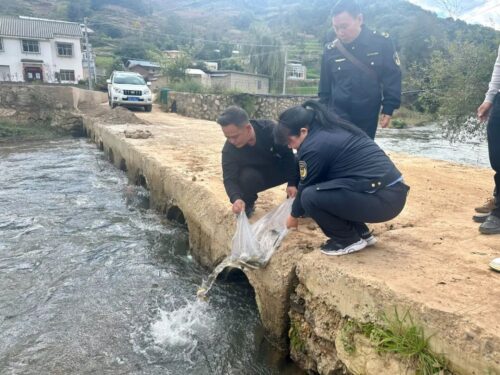 会东锦盛家庭农场污染河流致鱼死，增殖放流赔偿并加强监管-会东网