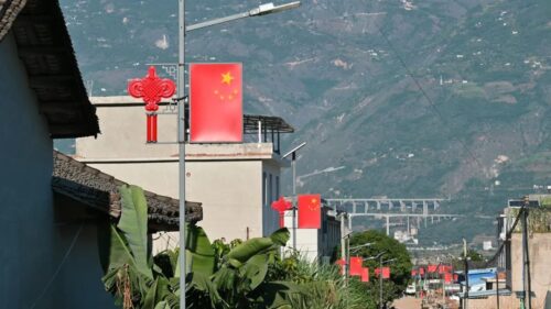 大崇镇亮化工程：点亮乡村“振兴路”插图3
