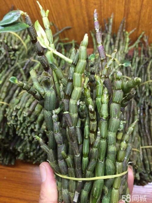 魅力昭觉：舌尖上的宝藏之地插图5