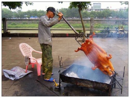 宁南县:美食与特产的宝库插图2 宁南县:美食与特产的宝库插图2