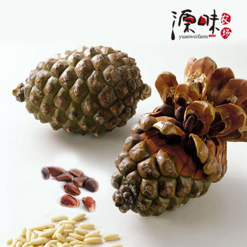 中国国家地理标志产品___会东松籽插图 中国国家地理标志产品___会东松籽插图