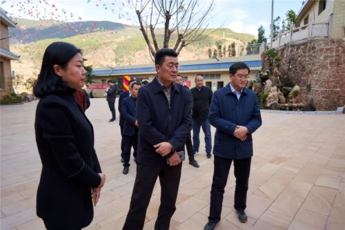 会东华山松：生态与经济共舞的绿色宝藏-会东网