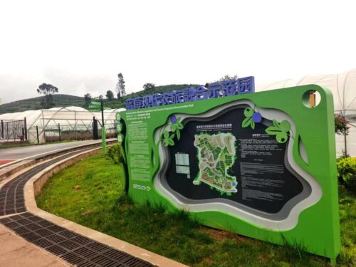 会东县蓝莓现代农业产业园区：崛起之路与未来展望-会东网