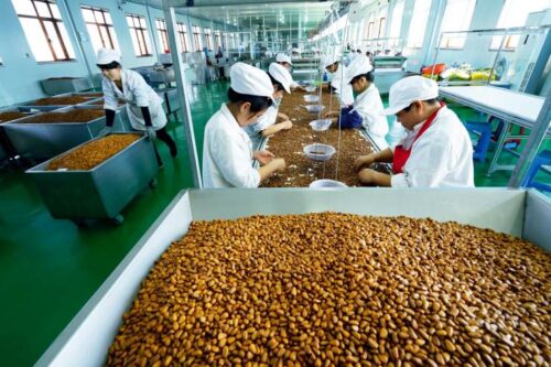 中国国家地理标志产品___会东松籽插图8 中国国家地理标志产品___会东松籽插图8