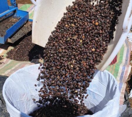 凉山州：城乡融合与特色产业双轮驱动，绘就绿色发展新篇章-会东网