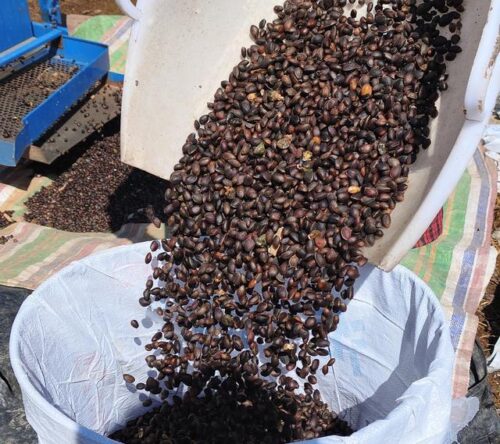 凉山州：城乡融合与特色产业双轮驱动，绘就绿色发展新篇章插图