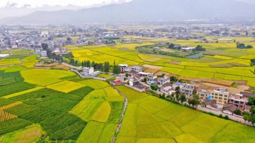 《凉山彝族自治州安宁河流域保护条例》施行一周年：高质量发展成效显著-会东网