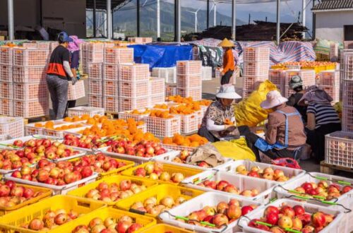 《凉山彝族自治州安宁河流域保护条例》施行一周年：高质量发展成效显著插图1