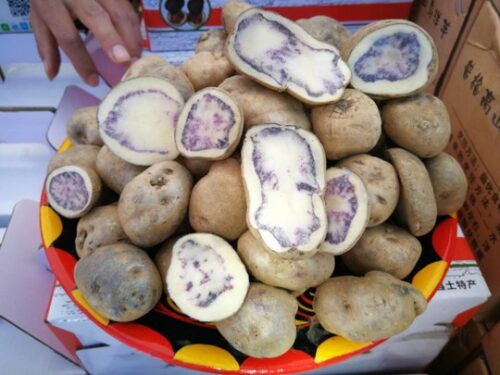 普格：美食与特产的宝藏之地插图1