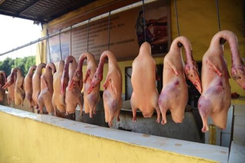 云南美食之旅：探寻八大滇菜之魂，品味彩云之南的独特风味插图3