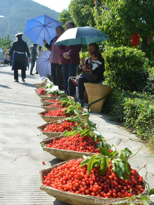 冕宁：美食与特产的宝藏之地插图6