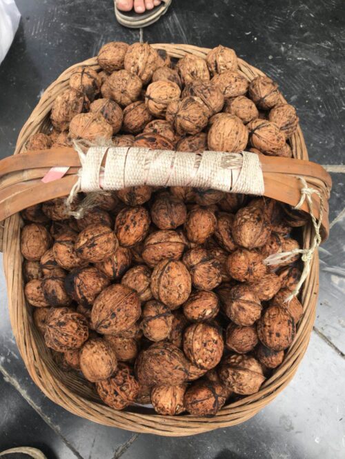 魅力金阳：美食与特产的宝藏之地插图8