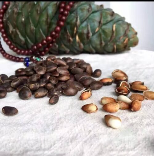 中国国家地理标志产品___会东松籽插图5 中国国家地理标志产品___会东松籽插图5