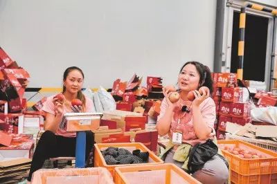 凉山通信行业引领数字新篇章：5G网络全覆盖助力乡村振兴-会东网