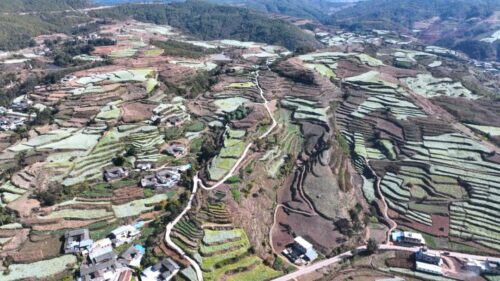 兰花籽成姜州镇乡村振兴“金钥匙”插图2