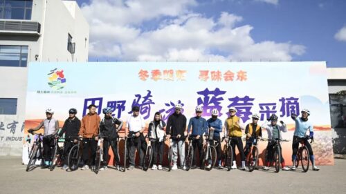 姜州镇中河村骑行采摘活动：冬季暖阳寻味会东插图2