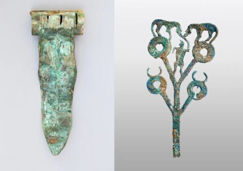 凉山邀您共赏四季之美，尤其暖冬不容错过插图5