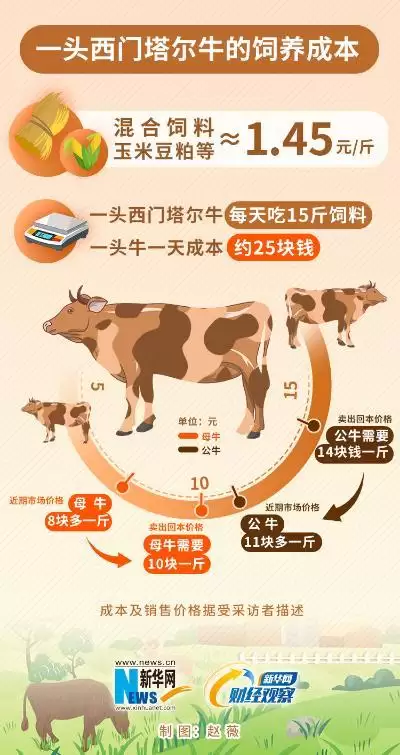 养牛那些事儿:从新手到行家的进阶之路插图6 养牛那些事儿:从新手到行家的进阶之路插图6