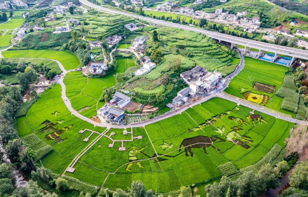 回首 2024 成绩斐然，会东擘画 2025 经济发展新蓝图插图5