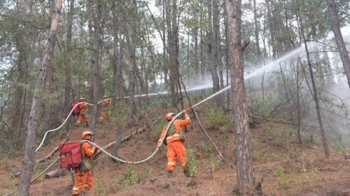 2025 启新程！四川凉山森林消防新装备实战研训火力全开插图3