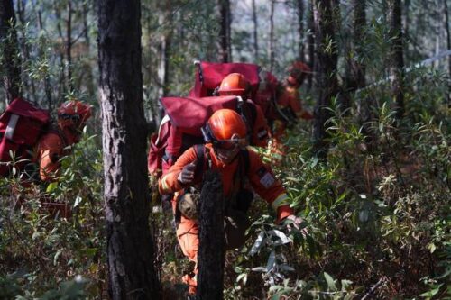 2025 启新程！四川凉山森林消防新装备实战研训火力全开插图