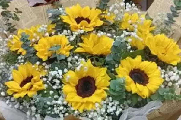 买的向日葵花束可以放多久 ,向日葵花束能保存多长时间插图3 买的向日葵花束可以放多久 ,向日葵花束能保存多长时间插图3