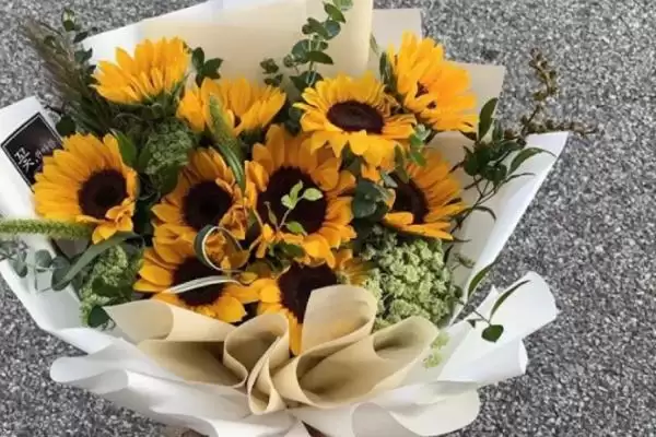 买的向日葵花束可以放多久 ,向日葵花束能保存多长时间插图1 买的向日葵花束可以放多久 ,向日葵花束能保存多长时间插图1