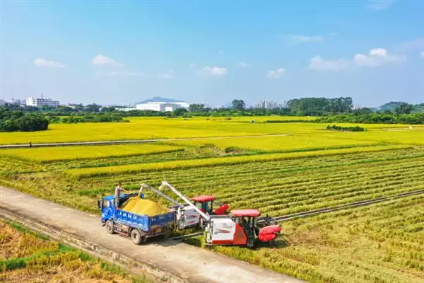 农业合作化的重大意义:推动社会主义建设发展的力量插图11 农业合作化的重大意义:推动社会主义建设发展的力量插图11