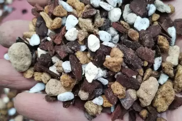 栽种多肉植物的方法和重点？栽种多肉植物要做好哪些细节？插图5