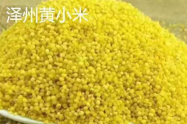 山西泽州的特产?了解山西泽州特产要掌握哪些具有代表性的产品?插图4 山西泽州的特产?了解山西泽州特产要掌握哪些具有代表性的产品?插图4