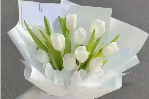 女王节花卉选择指南：康乃馨、百合花等传递美好祝福插图4