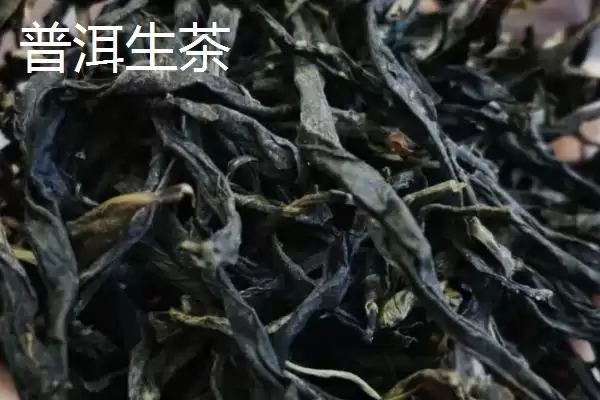 普洱茶产地揭秘：主产于云南省的独特韵味插图6