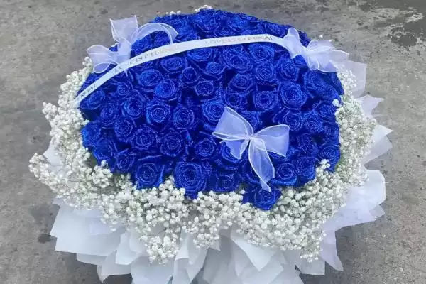 女王节花卉选择指南：康乃馨、百合花等传递美好祝福插图5