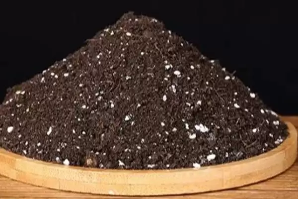 栽种多肉植物的方法和重点？栽种多肉植物要做好哪些细节？插图8