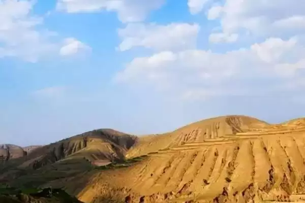 了解种风姜适用土壤的方法和重点？了解种风姜适用土壤要做好哪些细节？插图2
