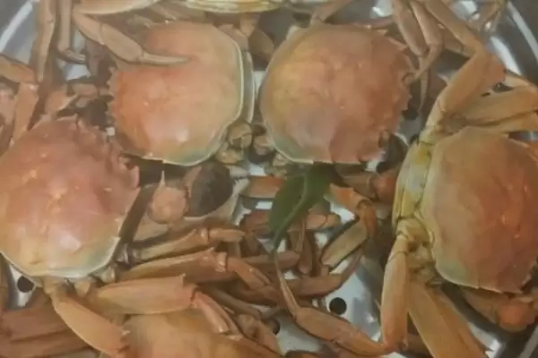 掌握蒸螃蟹所需时间的方法和重点？掌握蒸螃蟹所需时间要做好哪些细节？插图3