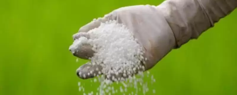 提高氮肥肥效的方法？提高氮肥肥效要掌握哪些正确的施肥和土壤管理方法？-会东网