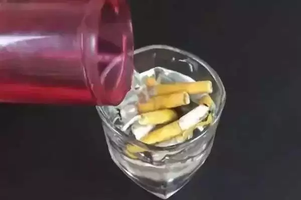判断烟头水浇花能否杀虫的方法和重点?判断烟头水浇花能否杀虫要做好哪些细节?插图4 判断烟头水浇花能否杀虫的方法和重点?判断烟头水浇花能否杀虫要做好哪些细节?插图4