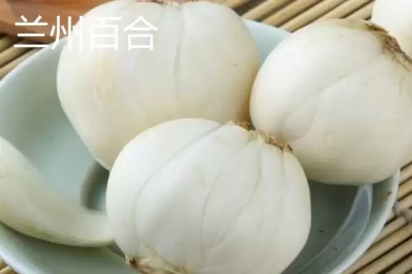可食用的百合品种 ,有哪些可食用的百合品种呢？插图1