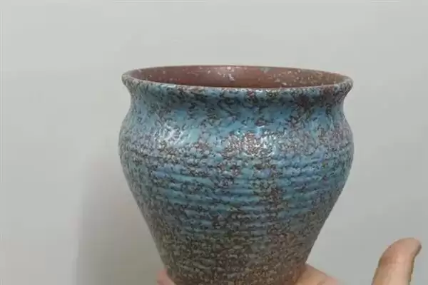 叶插朱紫玉的方法和重点?叶插朱紫玉要做好哪些细节?插图4 叶插朱紫玉的方法和重点?叶插朱紫玉要做好哪些细节?插图4