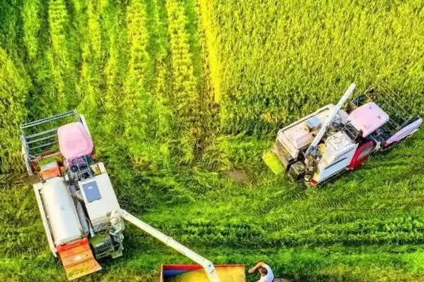 农业生产发展新趋势展望：区域农业和合作农业成为主流模式的奥秘插图3