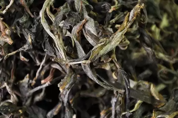 普洱茶产地揭秘：主产于云南省的独特韵味插图3