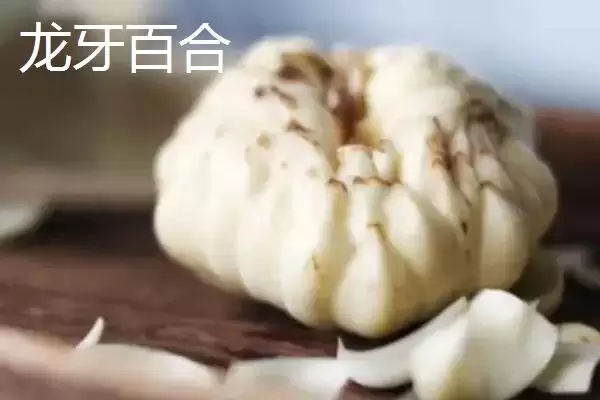 可食用的百合品种 ,有哪些可食用的百合品种呢？插图3