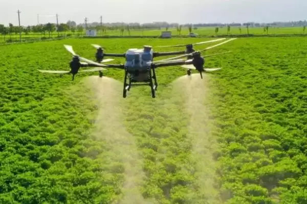什么时候打叶面肥效果好？喷施叶面肥把握最佳时机要考虑哪些因素？插图3