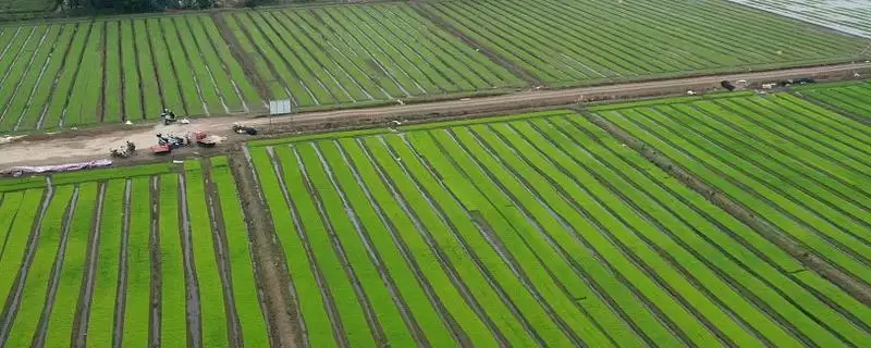 农村乡村振兴与基本农田的关系：特殊情况下占用的政策解读-会东网