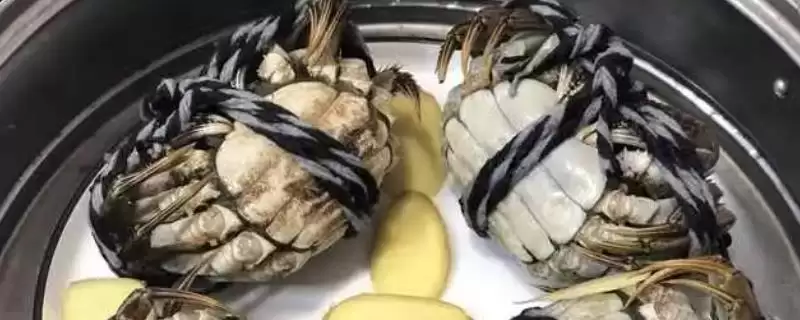 掌握蒸螃蟹所需时间的方法和重点？掌握蒸螃蟹所需时间要做好哪些细节？-会东网