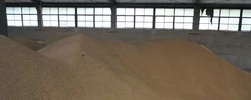 贮藏粮食的注意事项和重点？贮藏粮食要留意哪些关键问题？-会东网