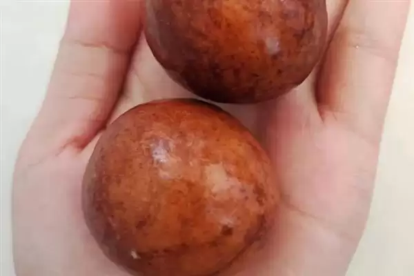 牛油果泡水发芽的时间密码：大约15天的等待与惊喜插图2