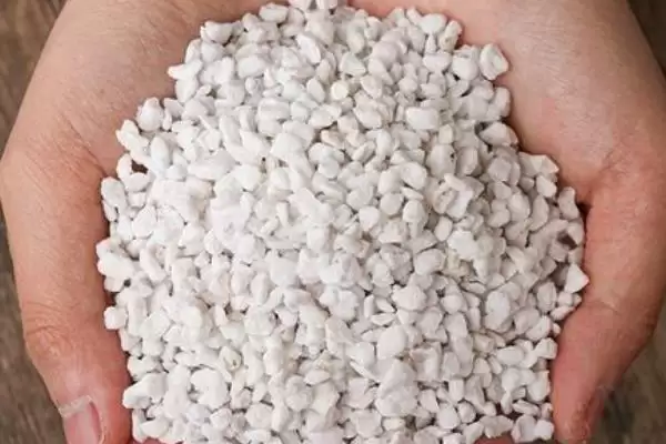 栽种多肉植物的方法和重点？栽种多肉植物要做好哪些细节？插图7