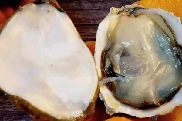 生蚝怎么做才好吃？烹饪生蚝做出美味要掌握哪些烹饪技巧和方法？插图3